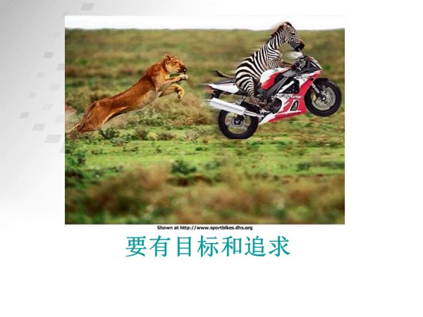 心理课-快乐技巧.ppt_第2页