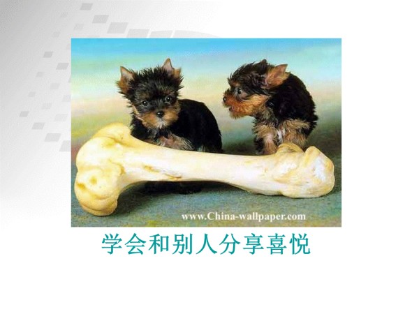 心理课-快乐技巧.ppt_第4页