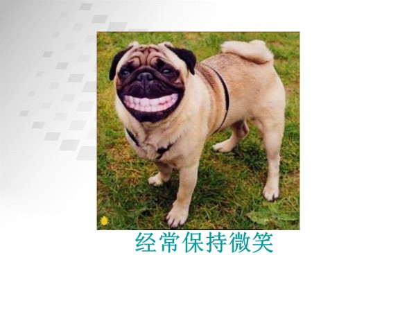 心理课-快乐技巧.ppt_第3页