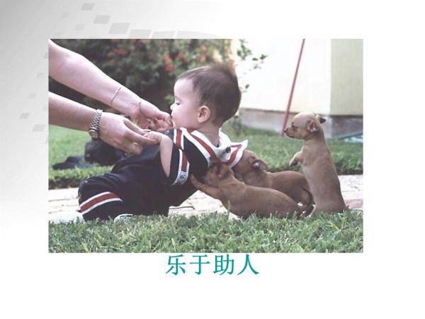 心理课-快乐技巧.ppt_第5页