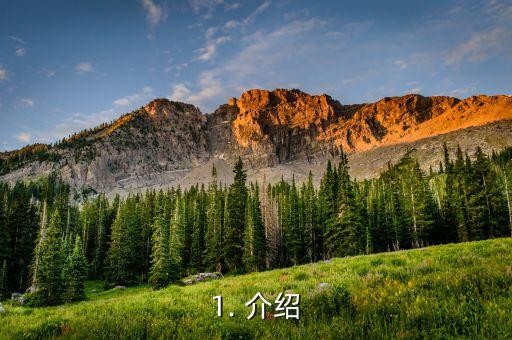 1. 介绍