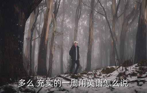 多么 充实的一周用英语怎么说