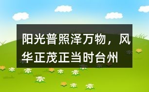 阳光普照泽万物，风华正茂正当时——台州学习记录