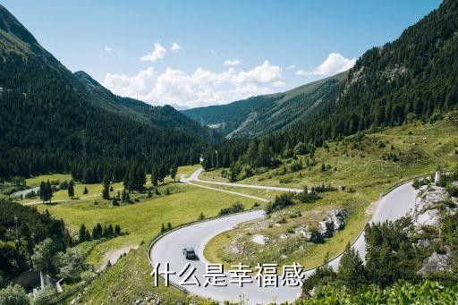什么是幸福感