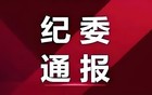 他接受纪律审查和监察调查