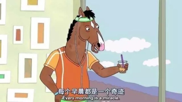 看过听过励志演讲励志电影励志书籍励志曲就仿佛已经努力奋斗过了...