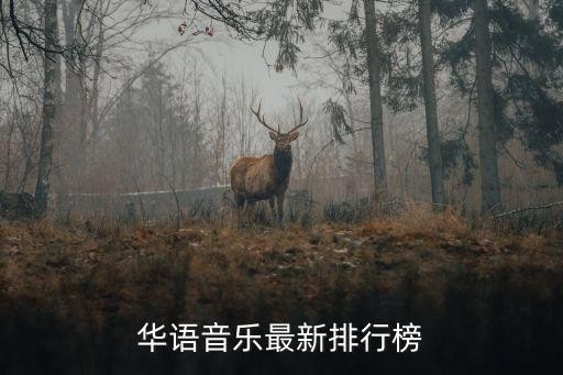 华语音乐排行榜,中国的音乐排行榜都有哪些