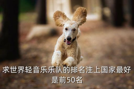 轻音乐排行榜,求世界轻音乐乐队的排名注上国家最好是前50名
