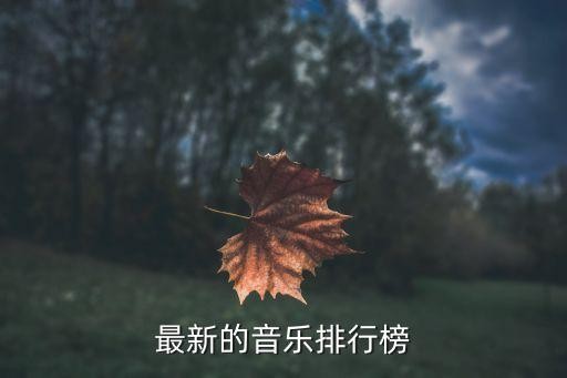 抖音音乐排行榜,最新音乐榜