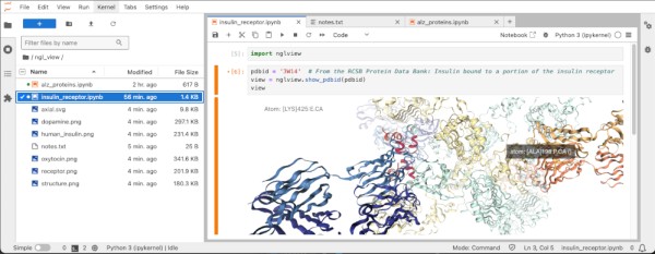 The JupyterLab notebook editor, with an open notebook showing an interactive view of the insulin receptor