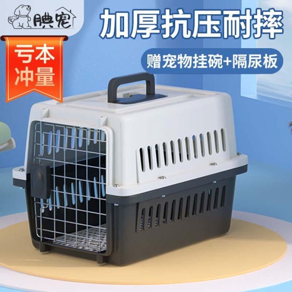 宠物出行与居家娱乐的黄金搭档，让爱宠生活更从容
