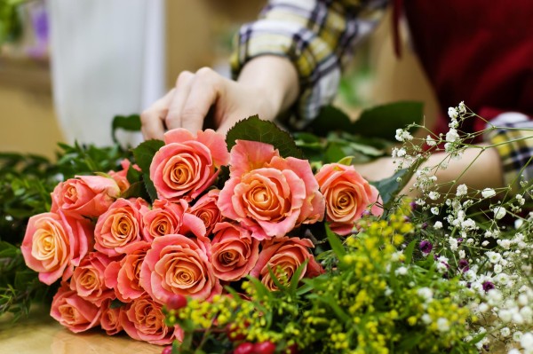 Conceptos básicos sobre jardinería