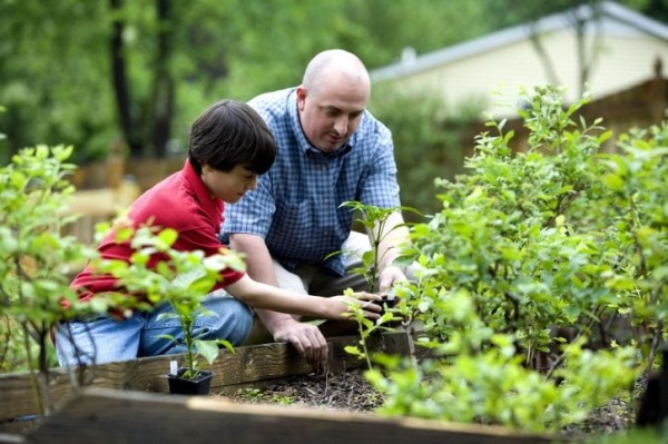 Jardinería para compartir en familia