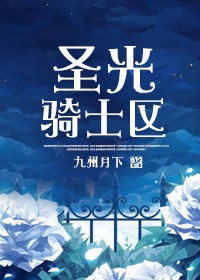 圣光骑士区封面