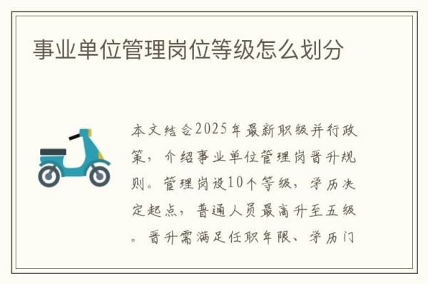 事业单位管理岗位等级怎么划分