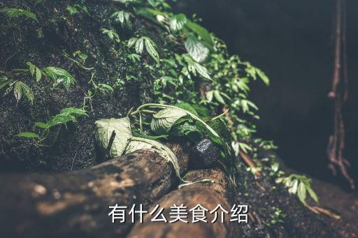 有什么美食介绍