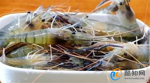 绝妙美食攻略:5道口感爆棚的家常佳肴,舌尖盛宴等您品味!