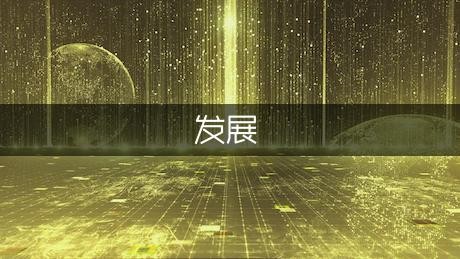 职业发展计划