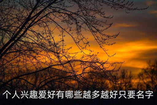 个人兴趣爱好有哪些越多越好只要名字