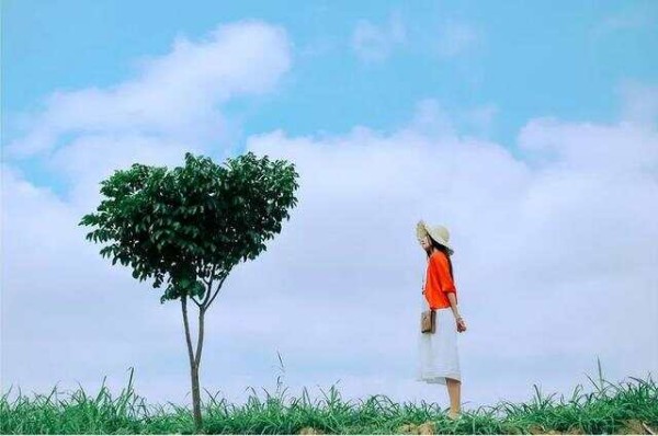 最顶级的养生：动养身，乐养心，悟养脑