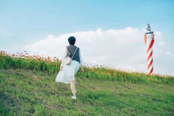 最顶级的养生：动养身，乐养心，悟养脑