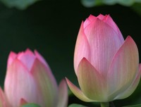 《不抱怨的世界. 人际关系 篇》的读后感10篇