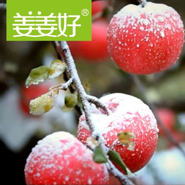 姜姜好霜降红富士