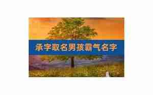 博起名字