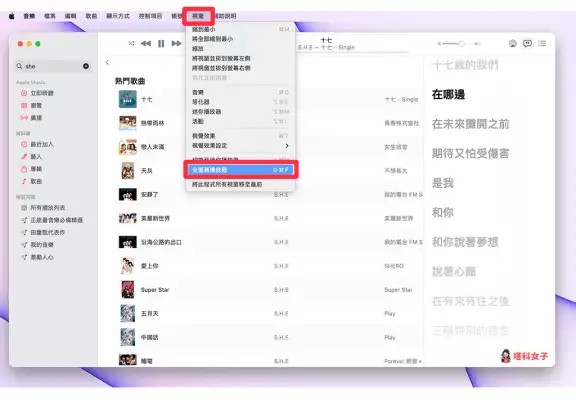 Mac Apple Music 全屏幕播放器可显示好看的专辑封面与动态歌词