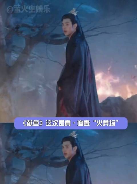 陈飞宇王影璐新剧献鱼司马焦追妻火葬场