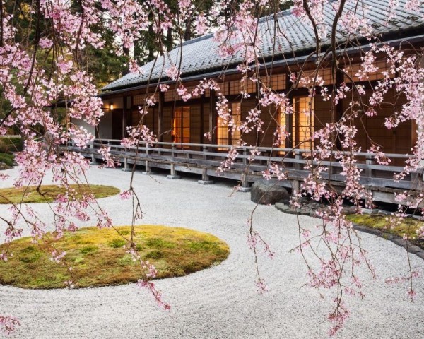 Flat Garden and Pavilion viewed through the limbs of a blossoming cherry tree