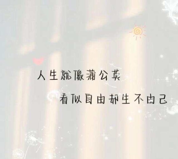 文章图片4