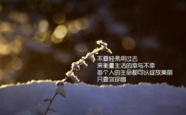 成长励志句子大全