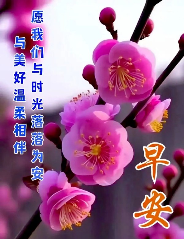 多款唯美励志正能量图片，点亮你的微信朋友圈