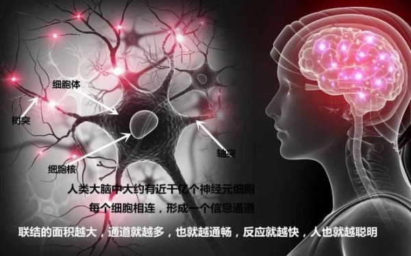 提高学习成绩，最有效的方法！