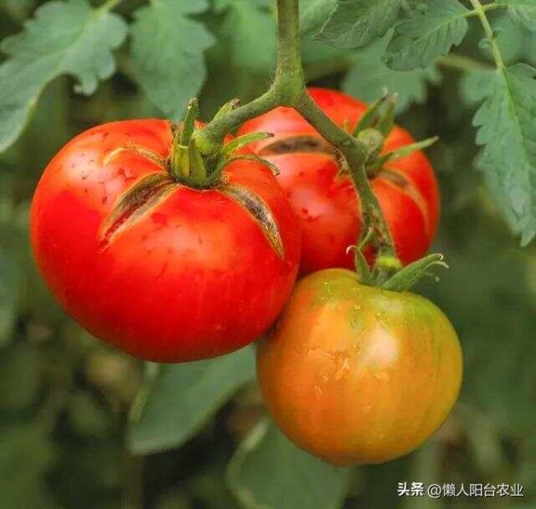 文章图片6