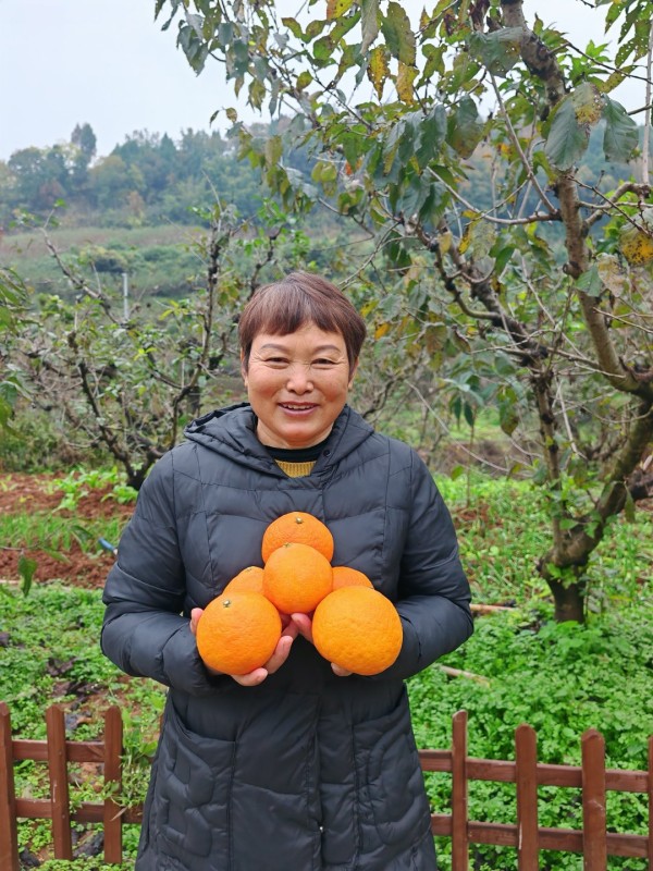 快乐村农业致富带头人刘晓利