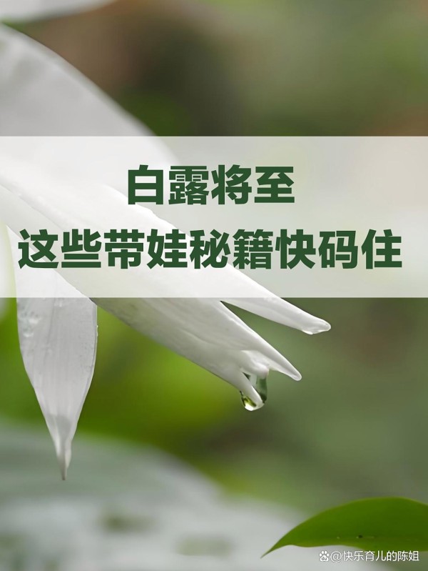 家有小学生必看！白露将至，这些带娃秘籍快码住