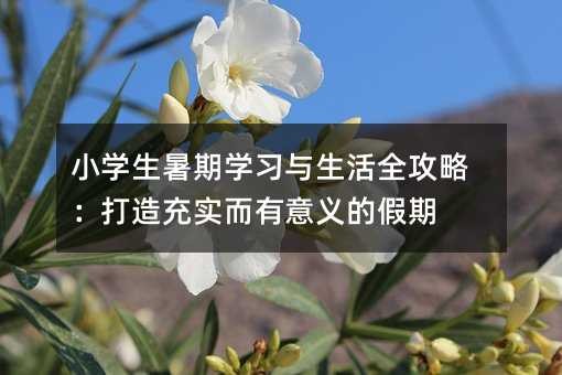 小学生暑期学习与<a target=