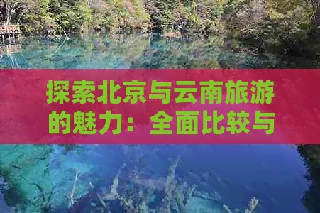 探索北京与云南旅游的魅力：全面比较与建议
