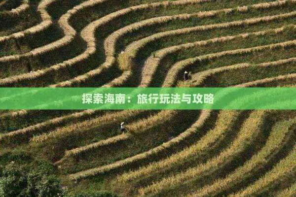 探索海南：旅行玩法与攻略