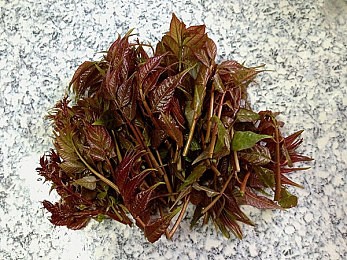 吃瓜黑料反差表／娱乐圈揭幕：透视明星双面，解码真实自我-4