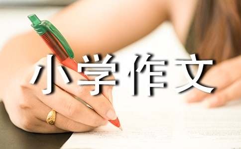 探索的乐趣小学作文
