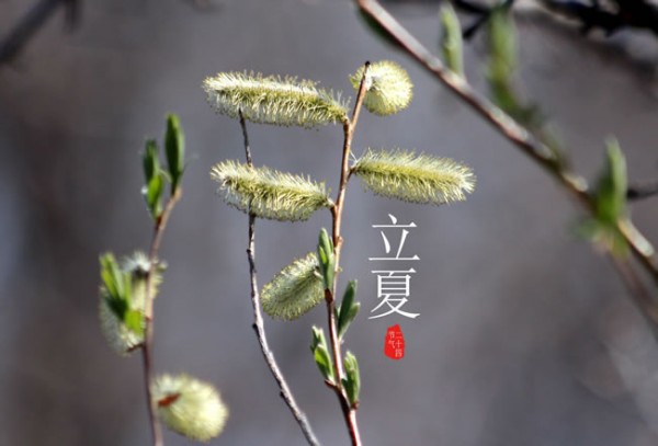 立夏小贴士，与春天饯别