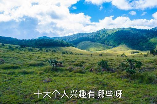 十大个人兴趣有哪些呀