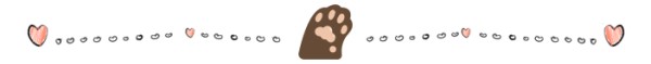 微信图片_20190318164949.png