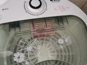 小天鹅洗衣机不排水的原因及解决方法(解决小天鹅洗衣机不排水问题的有效方法)