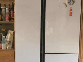 解析西门子冰箱不停机的原因及解决方法(探究西门子冰箱连续工作的关键问题与解决方案)