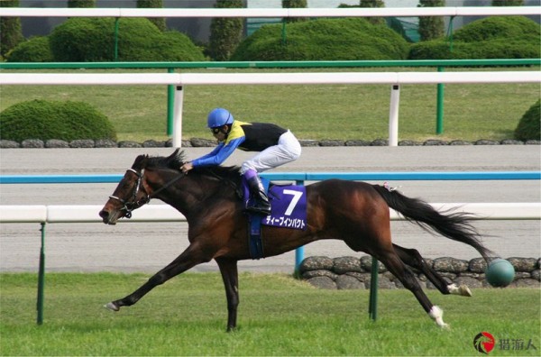 《赛马娘Pretty Derby》爆火！开发商Cyber​​Agent总裁连买12匹赛马花15.4亿