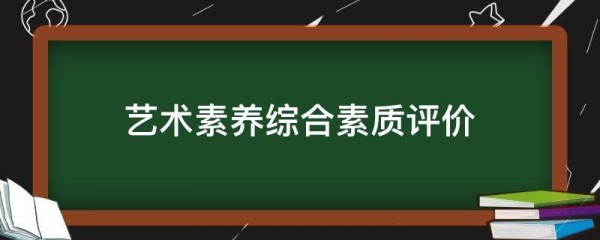 艺术素养综合素质评价